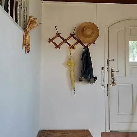 Meszi Vendeghaz Ξενοδοχείο Zalacsány